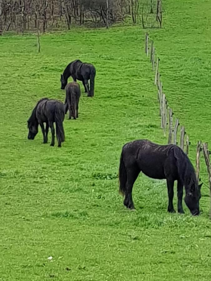 Domaine Du Pompinaud Accessible Pmr Bed & Breakfast Yvrac-et-Malleyrand Bagian luar foto